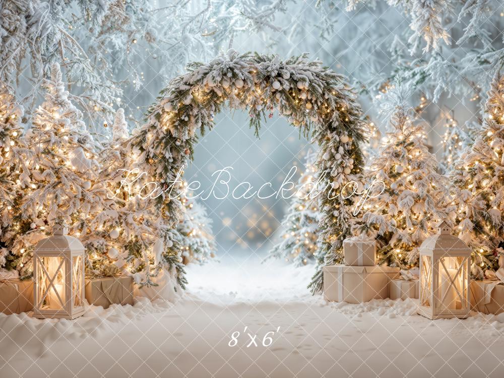 Kate Christmas Snowy Arch Winter Backdrop Designed by Emetselch - Kate Backdrop AU