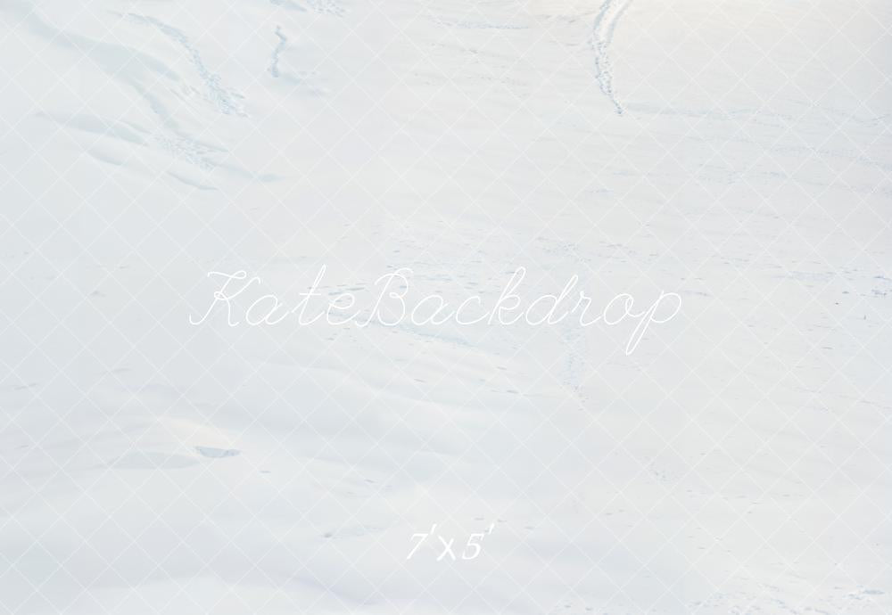 Kate Snow Texture Winter Backdrop Designed by Kate Image - Kate Backdrop AU