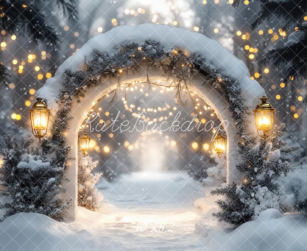 Kate Winter Arch Snow Lights Backdrop Designed by Emetselch - Kate Backdrop AU