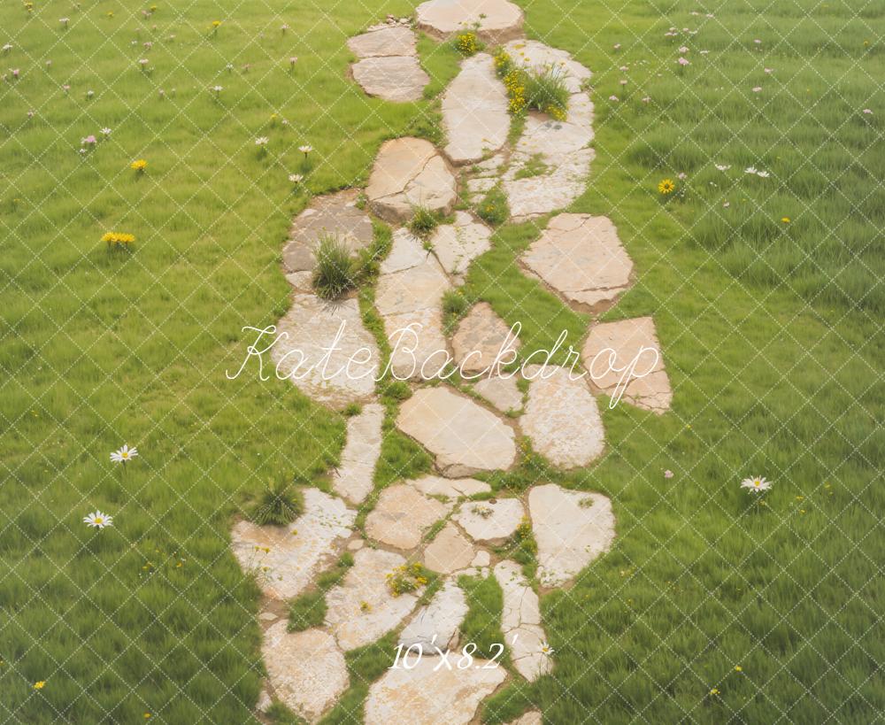Kate Stone Path Grass Daisies Backdrop Designed by Emetselch