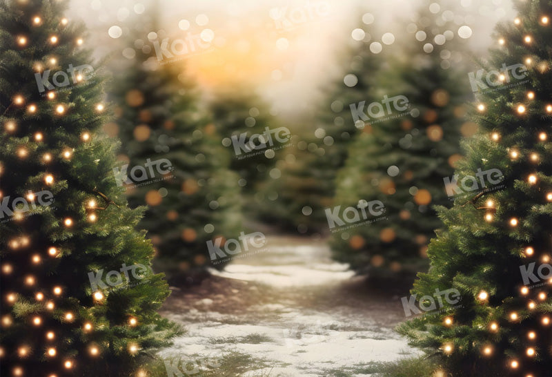 Kate Christmas Tree Forest Snowy Path Backdrop Designed by Emetselch - Kate Backdrop AU