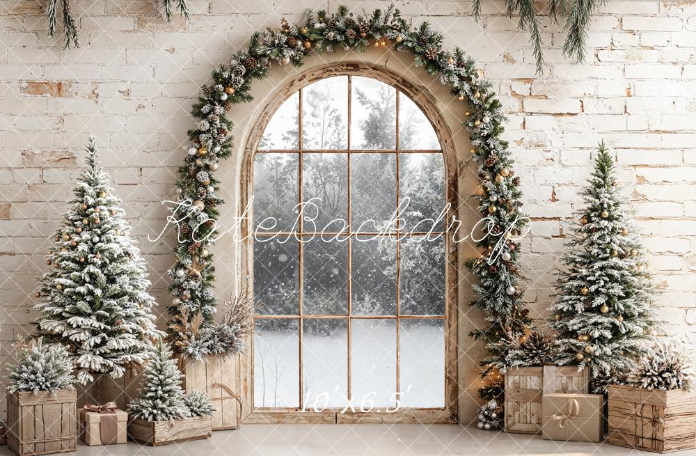 Kate Christmas Window Arch Snowy Fleece Backdrop Designed by Emetselch