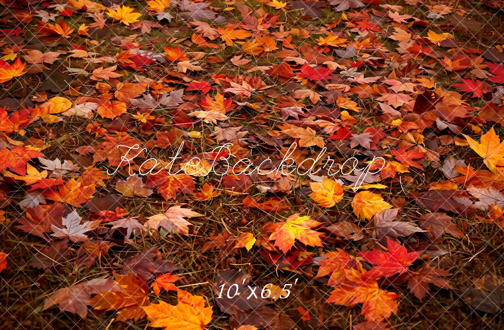 Kate Autumn Leaves Ground Backdrop Designed by Kate Image