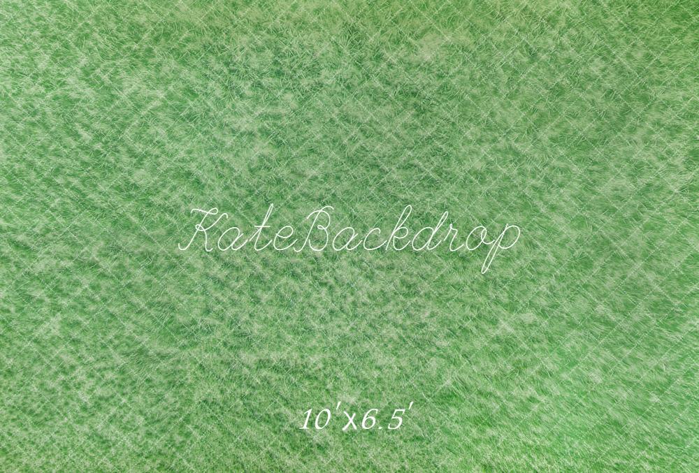 Kate Green Grass Abstract Fleece Backdrop Designed by Kate Image
