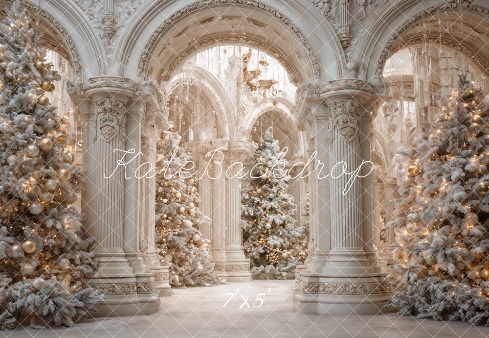 Kate Christmas Snowy Trees Ornate Archway Backdrop Designed by Ashley Paul