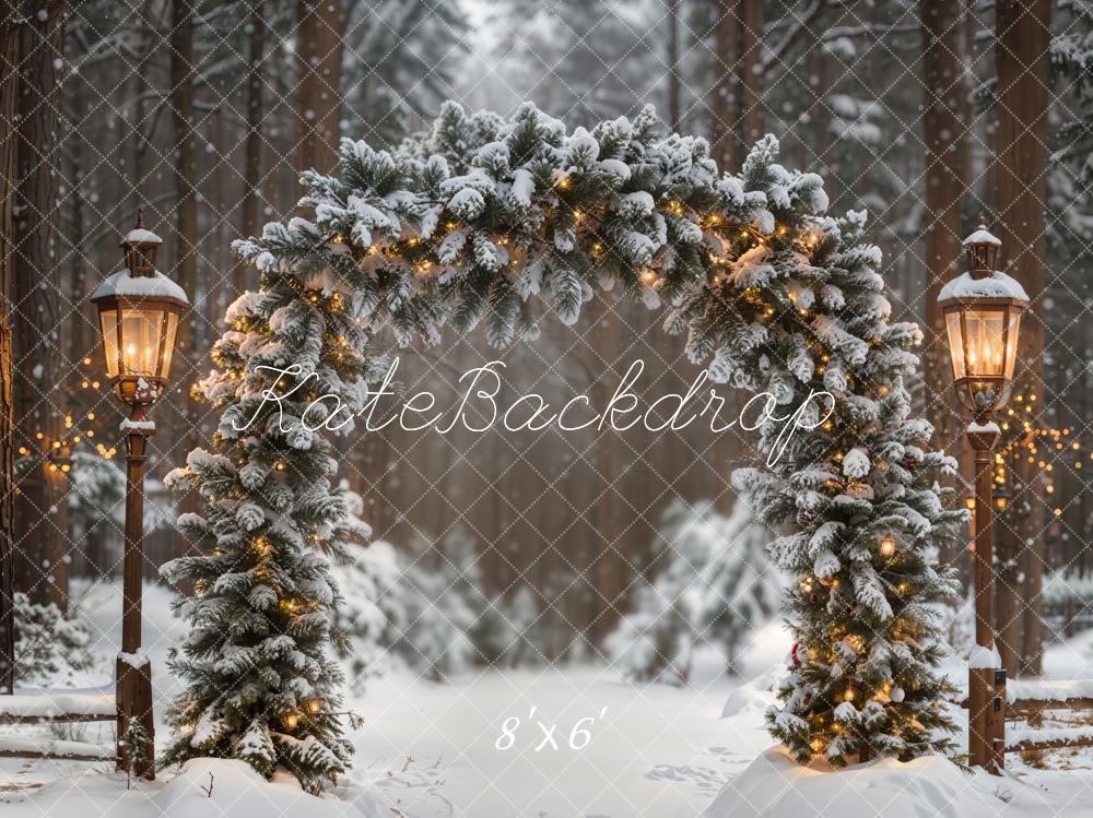 Kate Winter Arch Snowy Forest Fleece Backdrop Designed by Emetselch