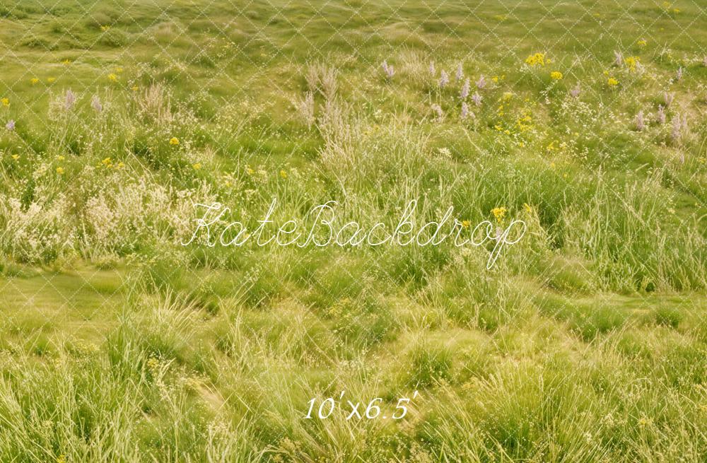 Kate Green Grass Meadow Fleece Backdrop Designed by Chain