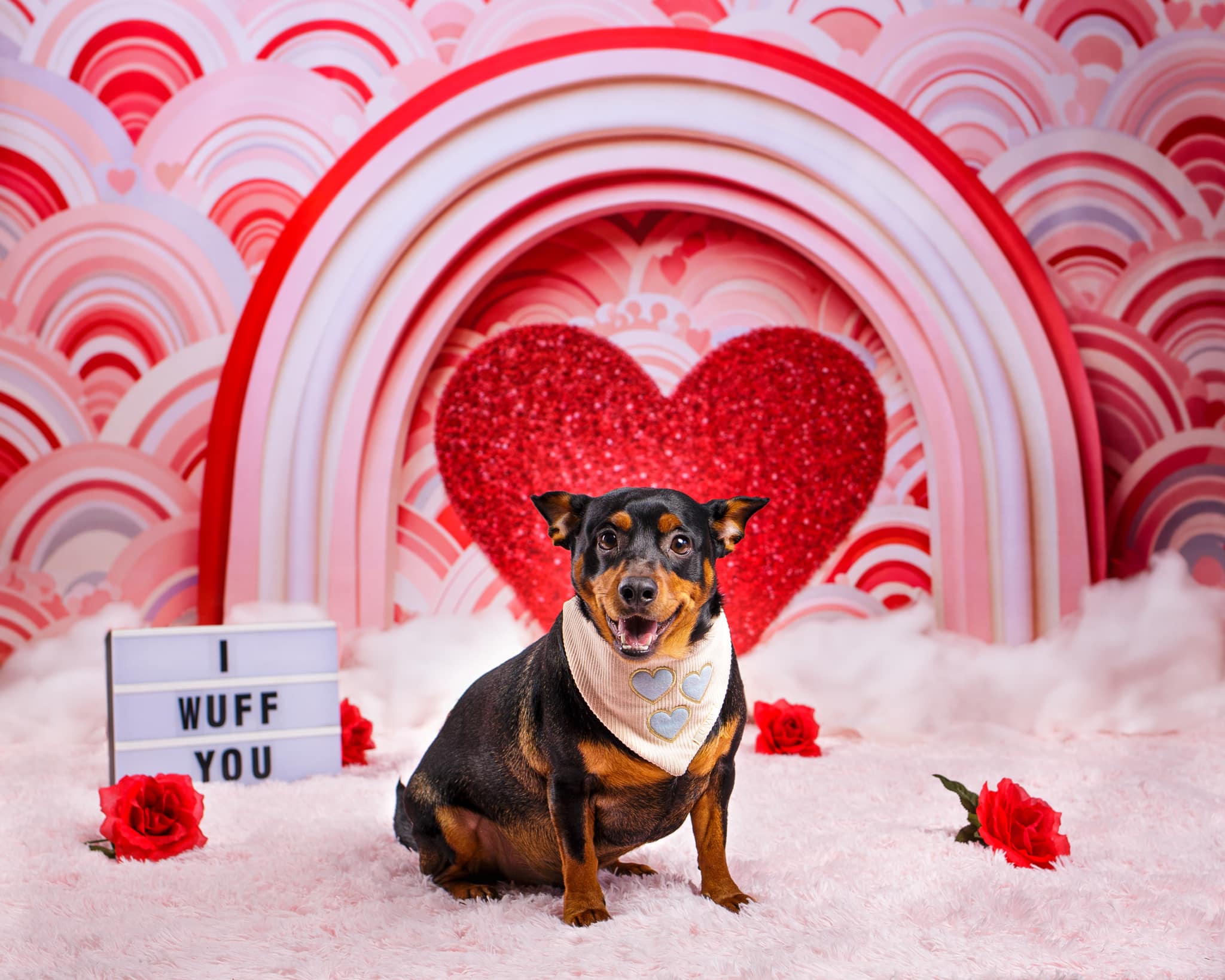 Kate Pink Valentine's Day Love Balloons Backdrop Designed by Emetselch - Kate Backdrop AU