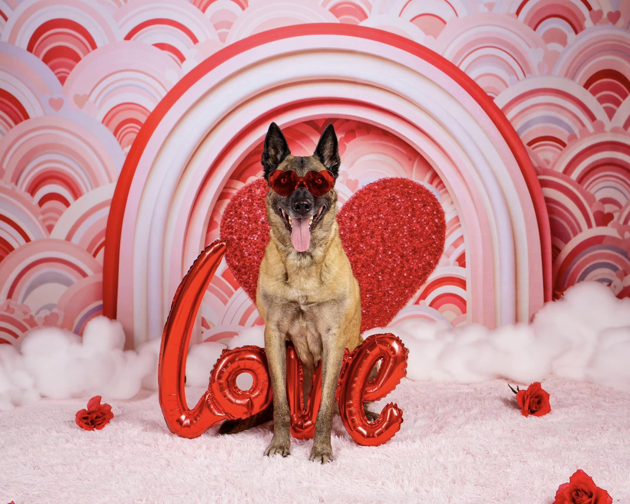 Kate Pink Valentine's Day Love Balloons Backdrop Designed by Emetselch - Kate Backdrop AU