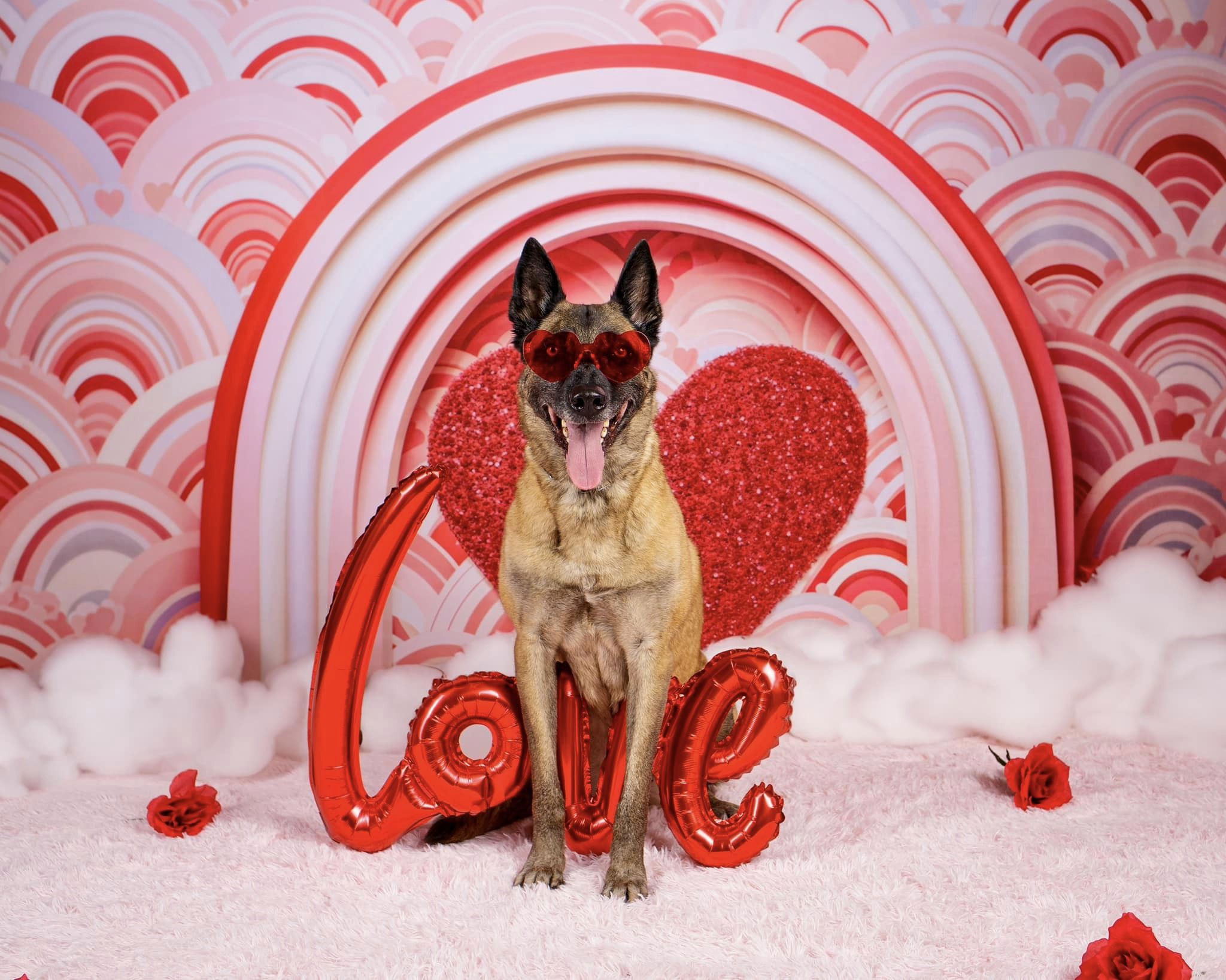 Kate Pink Valentine's Day Love Balloons Backdrop Designed by Emetselch