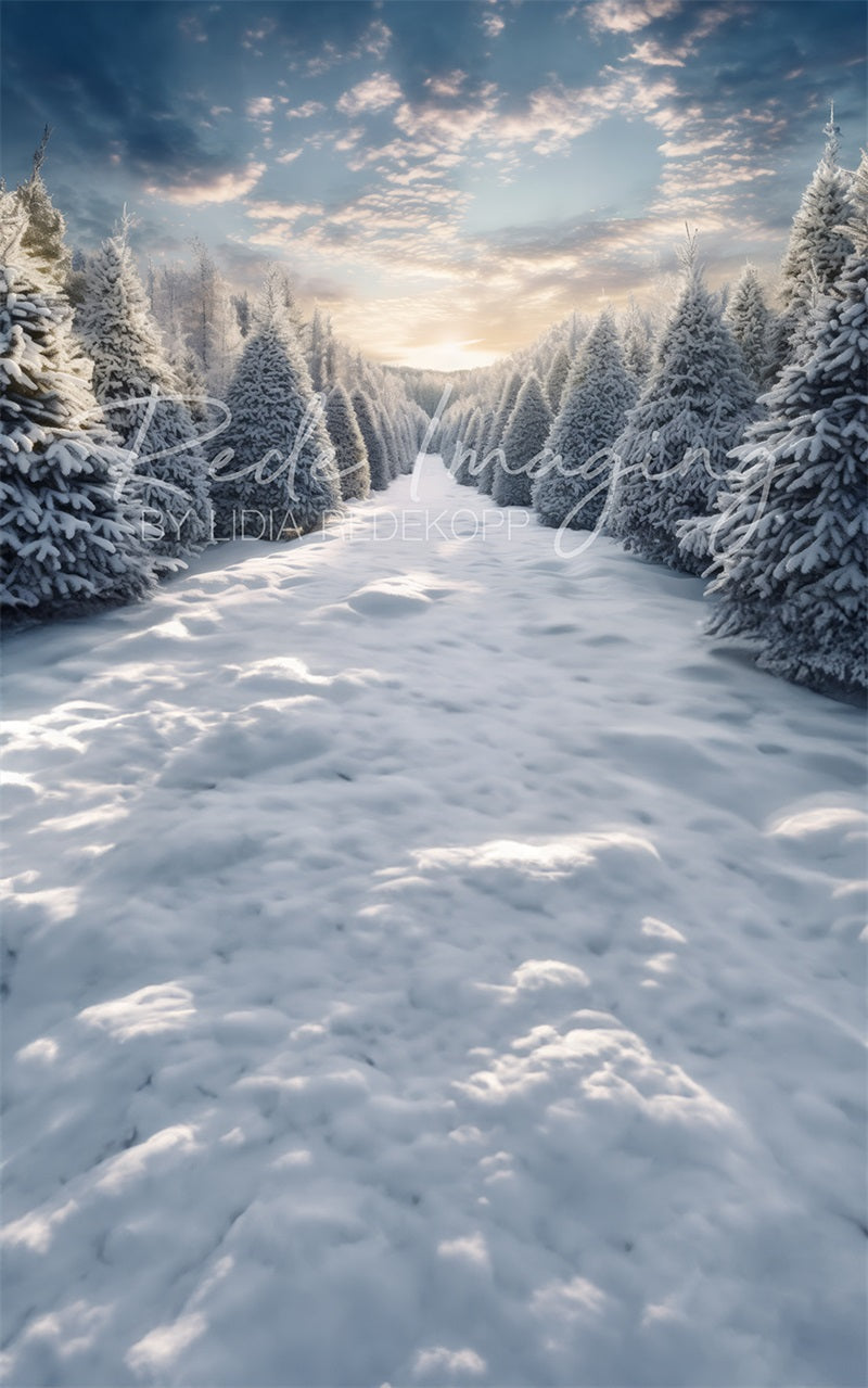 Kate Frosty Forest Sweep Designed by Lidia Redekopp - Kate Backdrop AU