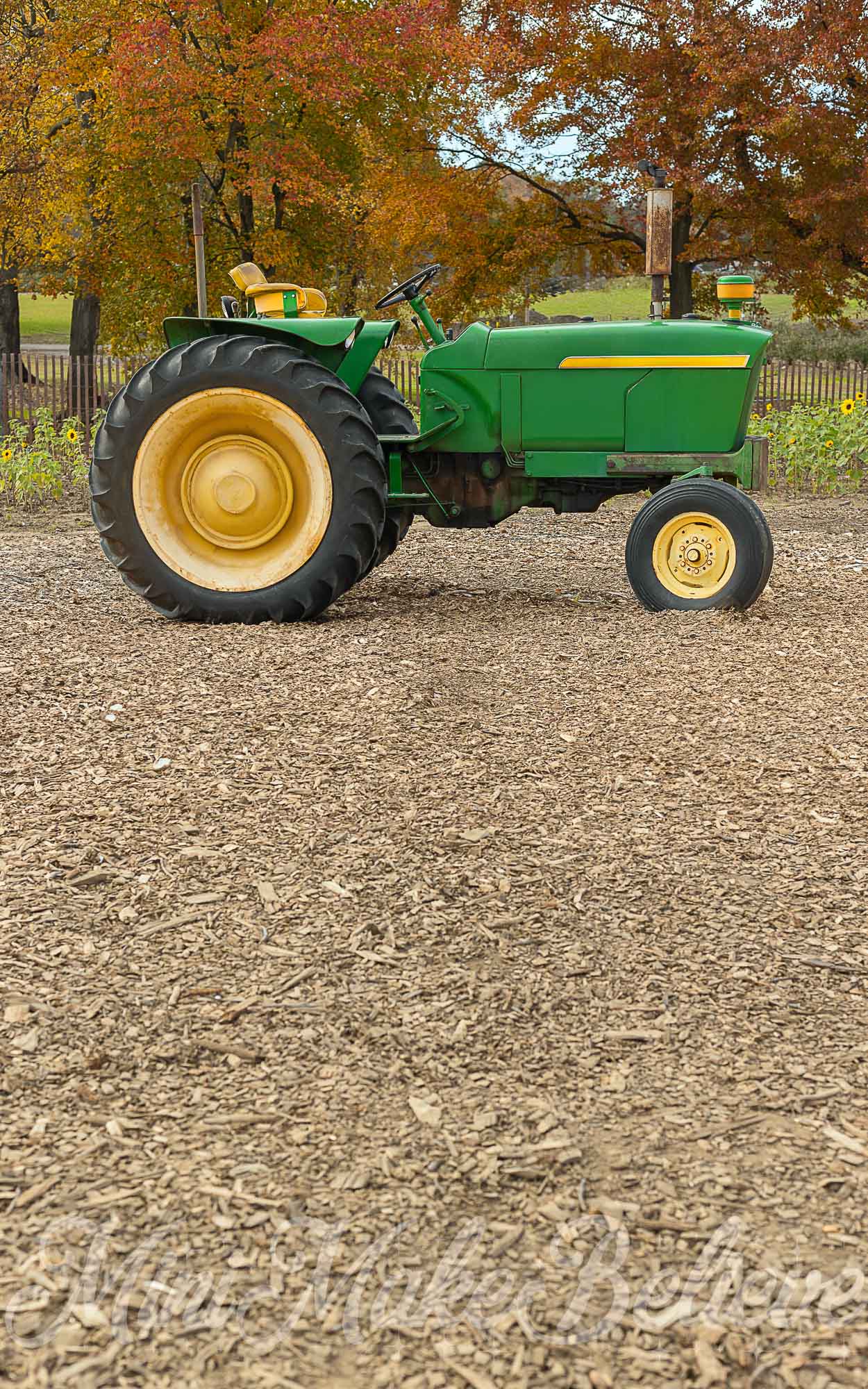 Kate Sweep Autumn Green Tractor Backdrop for Photography Designed by Mini Makebelieve - Kate Backdrop AU