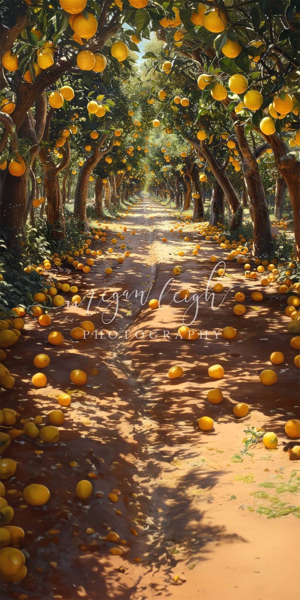 Kate Sweep Orange Grove Backdrop