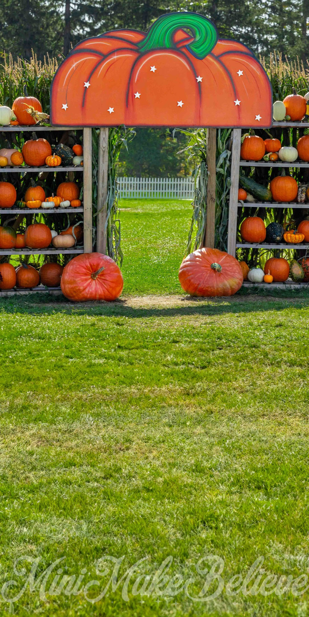 Kate Sweep Pumpkin House Backdrop for Photography Designed by Mini Makebelieve - Kate Backdrop AU