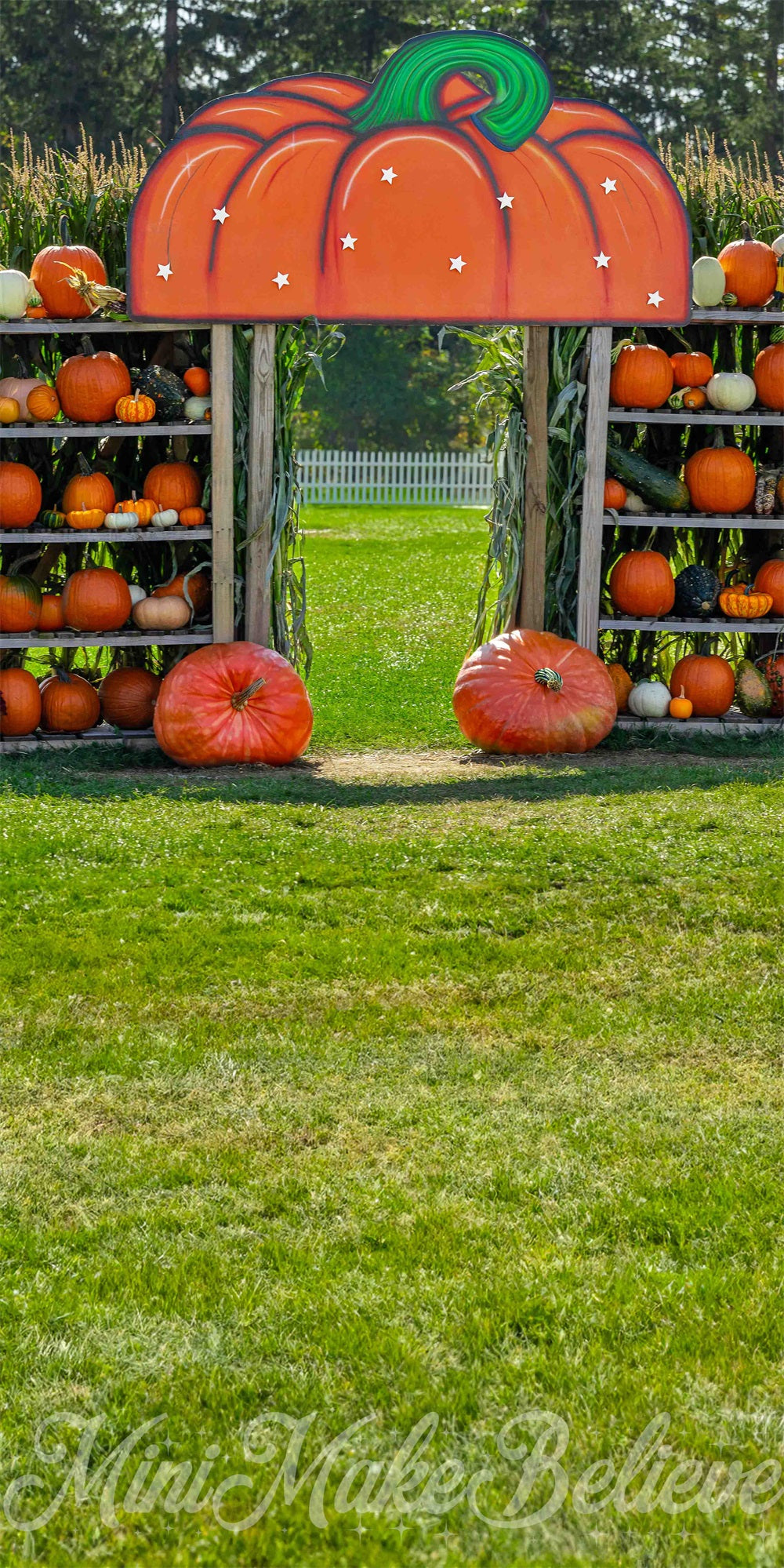 Kate Sweep Pumpkin House Backdrop for Photography Designed by Mini Makebelieve - Kate Backdrop AU