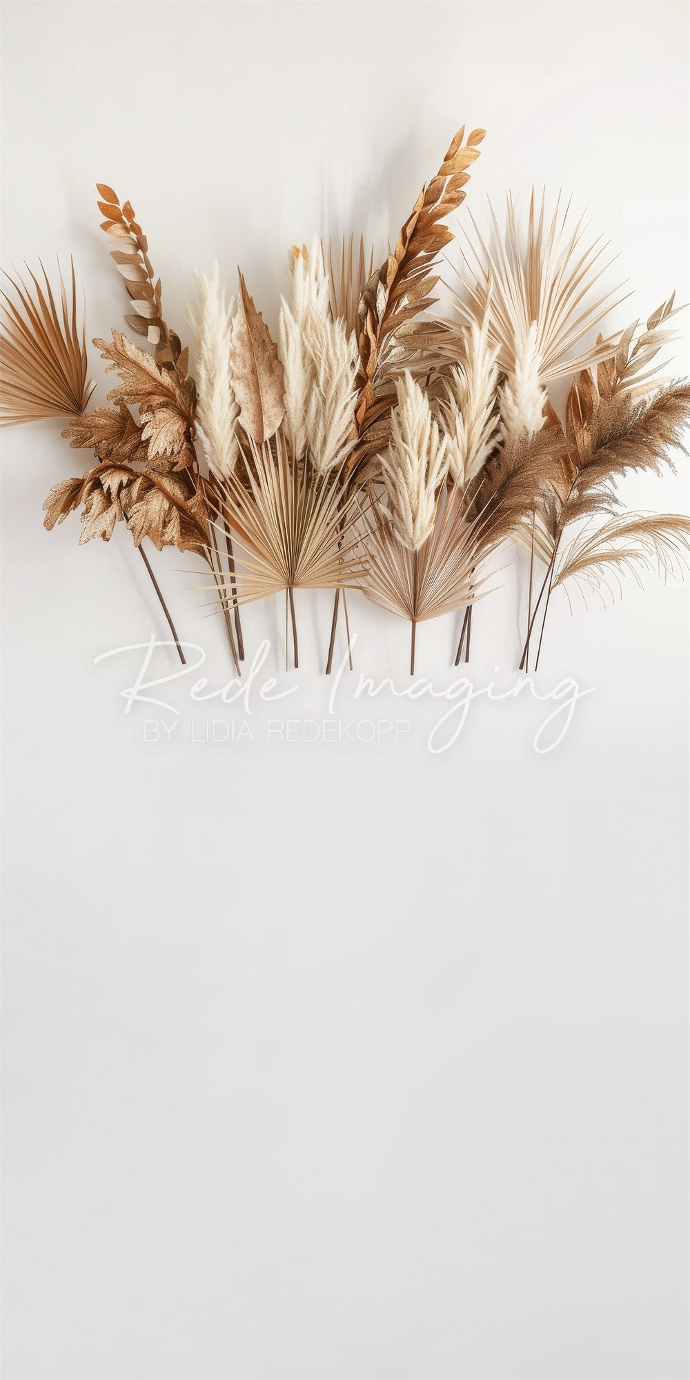 Kate Sweep Boho Backdrop Brown Reed Leaf White Wall Designed by Lidia Redekopp - Kate Backdrop AU