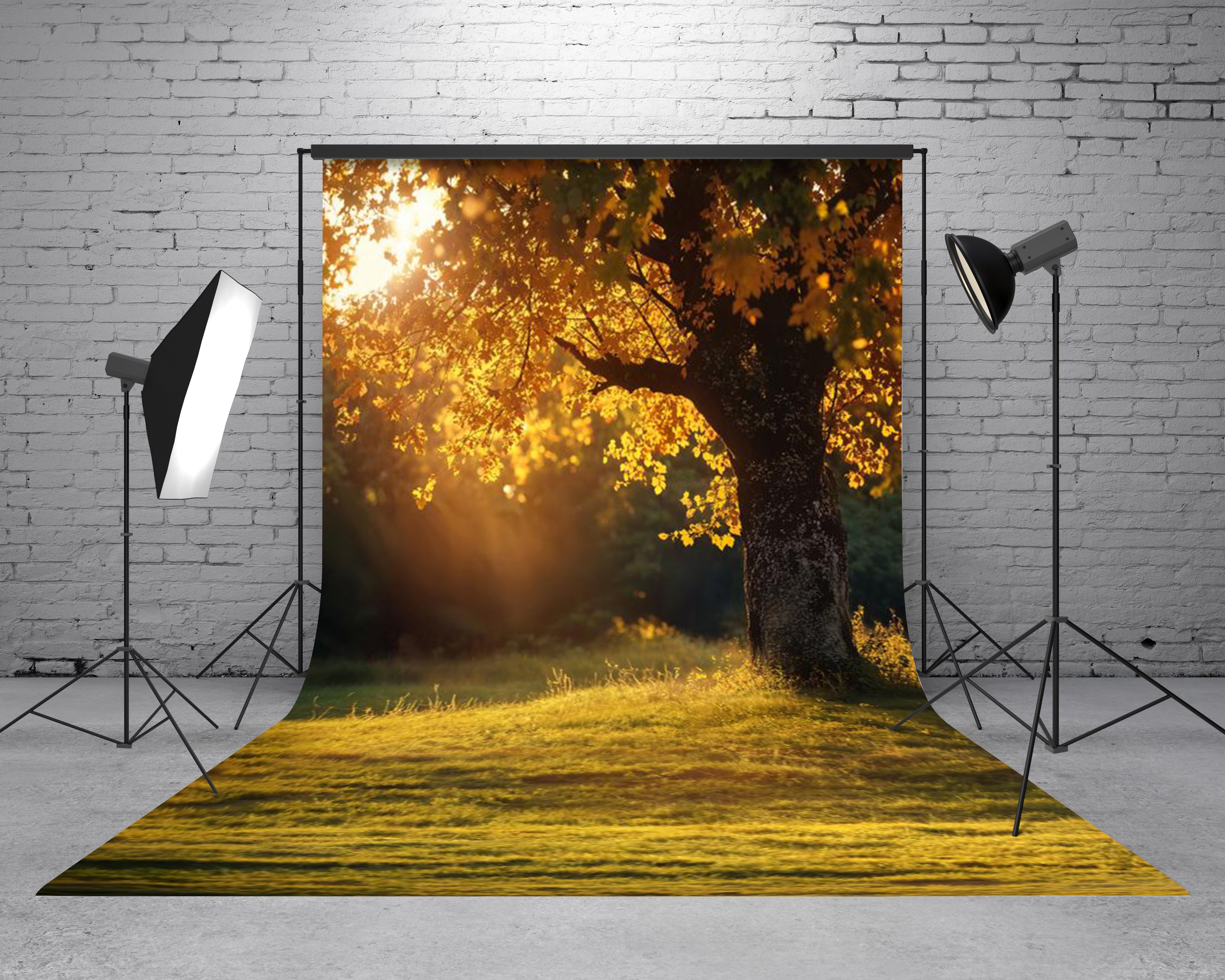 Kate Autumn Tree Sunlit Meadow Backdrop Designed by Chain