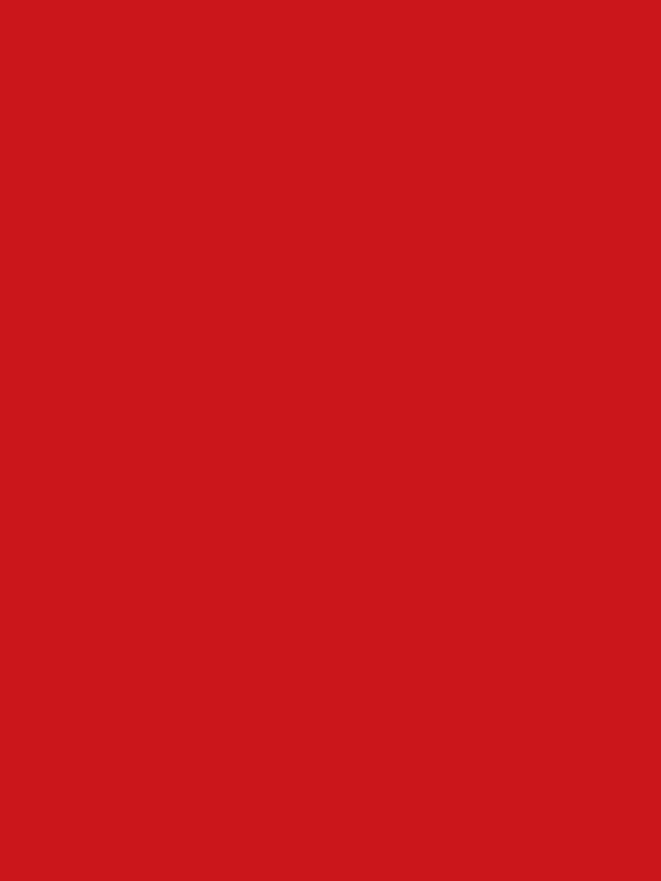 Kate Solid Venetian Red Vinyl Floor Backdrop - Kate Backdrop AU