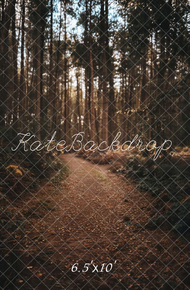 Kate Forest Path Backdrop Designed by Emetselch - Kate Backdrop AU