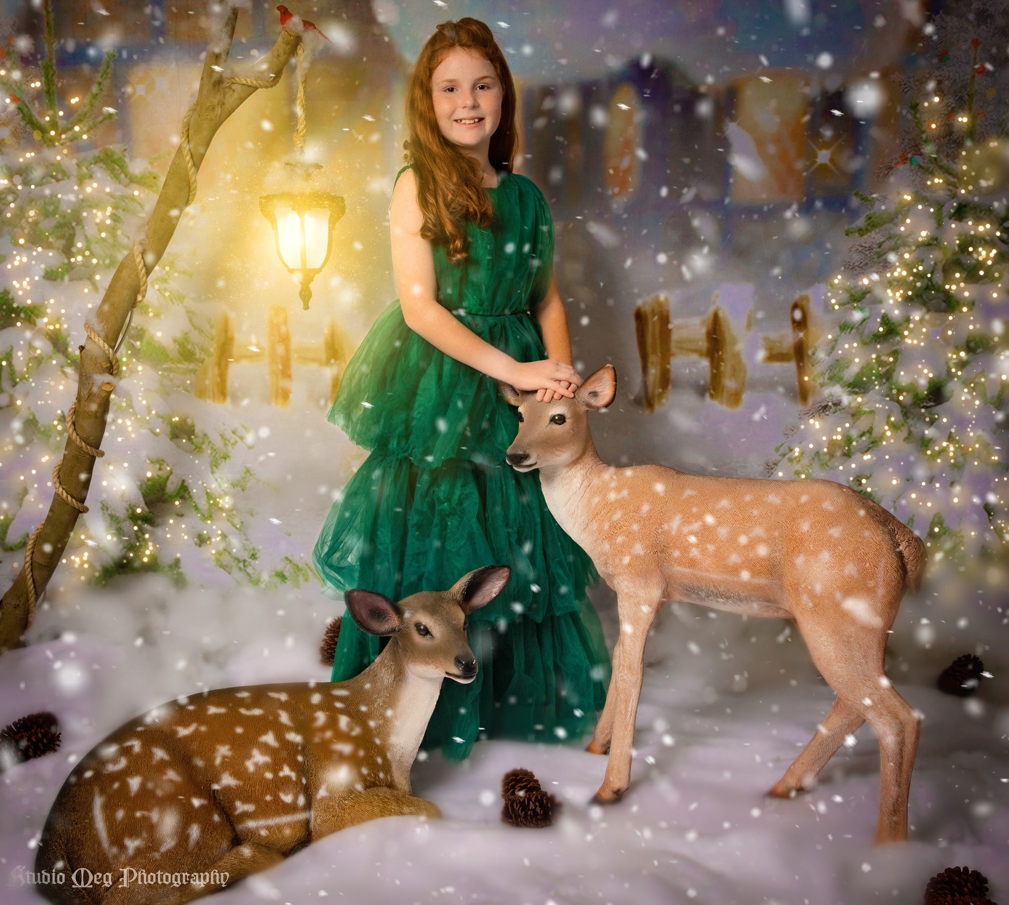 Kate Winter Backdrop Heavy Snow Cabin Christmas Tree Light for Photography - Kate Backdrop AU