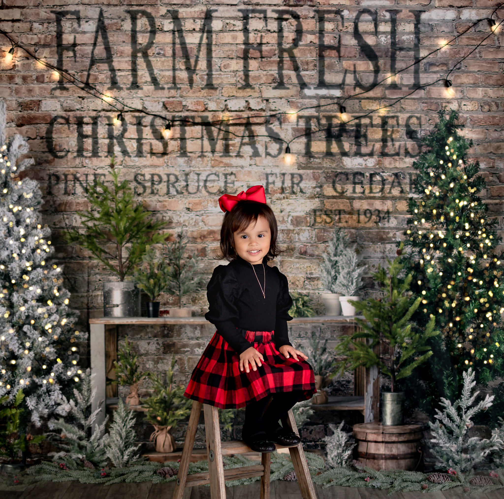 Kate Farm Fresh Backdrop Tree Stand Christmas Designed by Mandy Ringe Photography