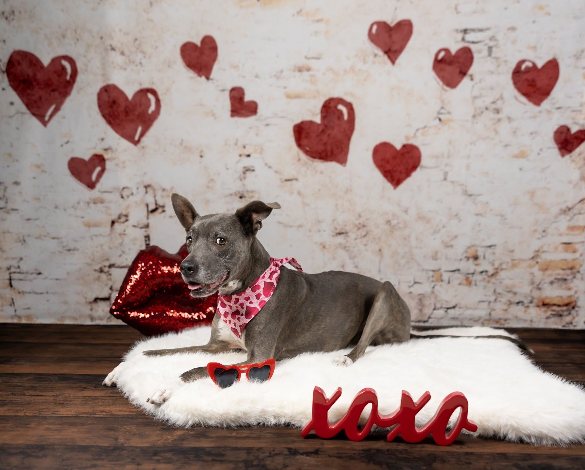 Kate Valentine Hearts Vintage Backdrop Shabby Wall Designed by Kate Image - Kate Backdrop AU