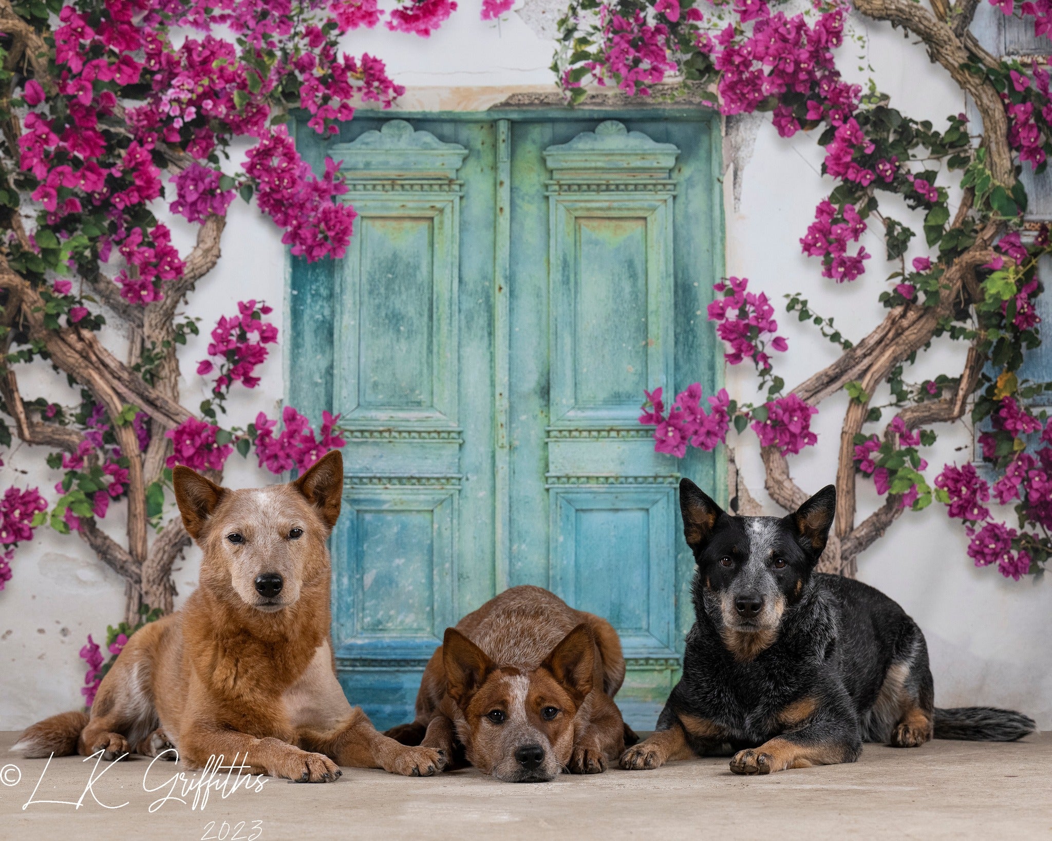 Kate Spring Flowers Door Backdrop Designed by Chain Photography