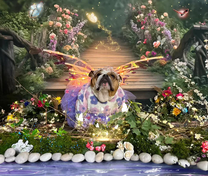 Kate Painterly Fine Art Fairy Bridge Backdrop Designed by Mini MakeBelieve