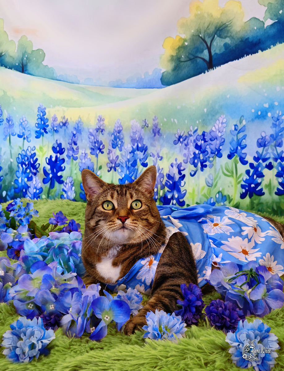 Kate Blossoming Bluebonnets Backdrop Designed by Patty Robertss - Kate Backdrop AU