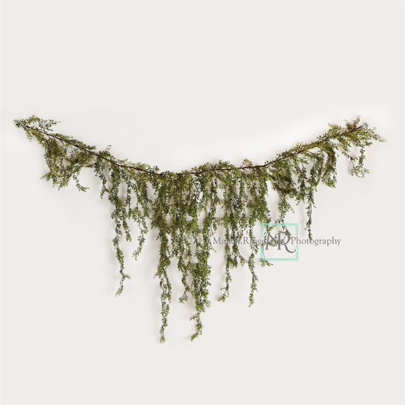 Kate Spring/Summer Vine Garland on White Wall Backdrop Designed by Mandy Ringe Photography - Kate Backdrop AU