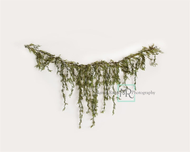 Kate Spring/Summer Vine Garland on White Wall Backdrop Designed by Mandy Ringe Photography - Kate Backdrop AU