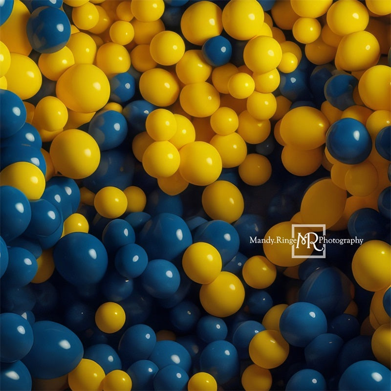Kate Blue Yellow Balloon Party Backdrop Designed by Mandy Ringe Photography