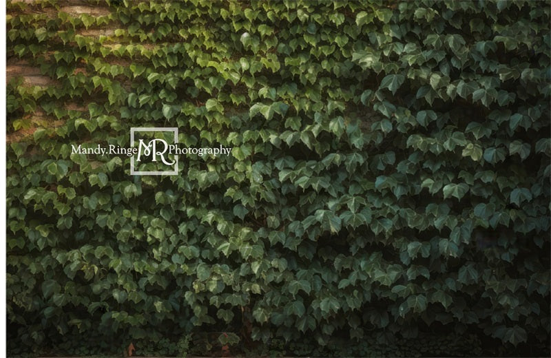 Kate Climbing Ivy Wall Backdrop Designed by Mandy Ringe Photography - Kate Backdrop AU