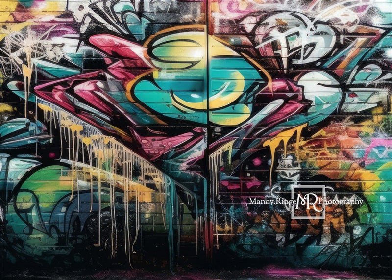 Kate Colorful Graffiti Wall Backdrop Designed by Mandy Ringe Photography