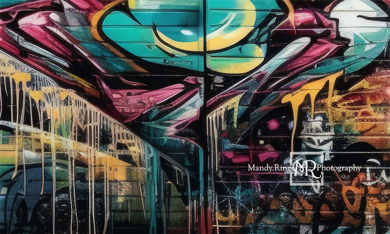 Kate Colorful Graffiti Wall Backdrop Designed by Mandy Ringe Photography