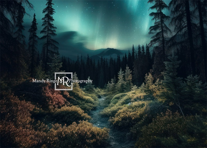 Kate Forest Northern Lights Backdrop Designed by Mandy Ringe Photography