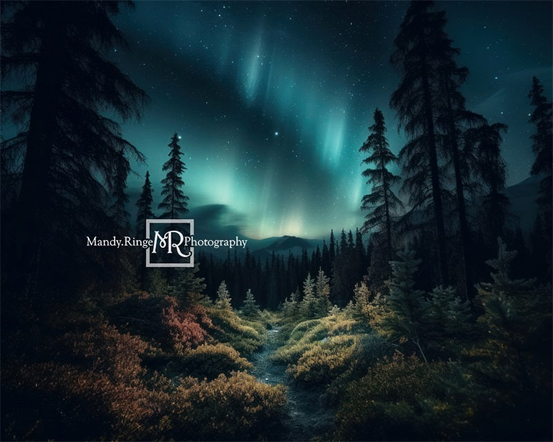 Kate Forest Northern Lights Backdrop Designed by Mandy Ringe Photography - Kate Backdrop AU