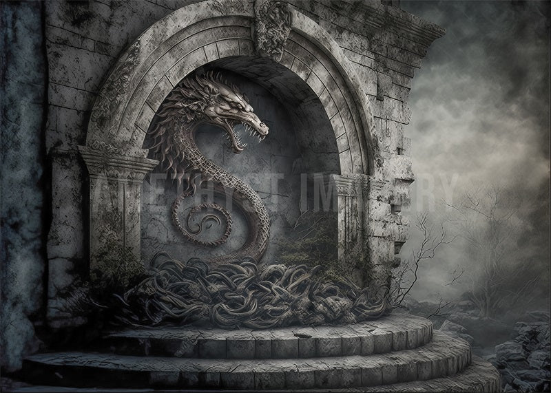 Kate Dragon Stone Fantasy Backdrop Designed by Angela Marie Photography
