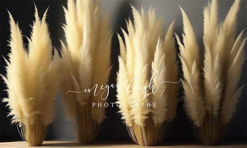 Kate Whimsical Pampas Backdrop Designed by Megan Leigh Photography