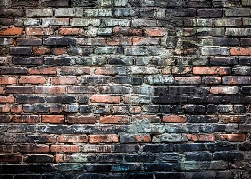 Kate Pink Black Brick wall Backdrop Designed by Angela Marie Photography