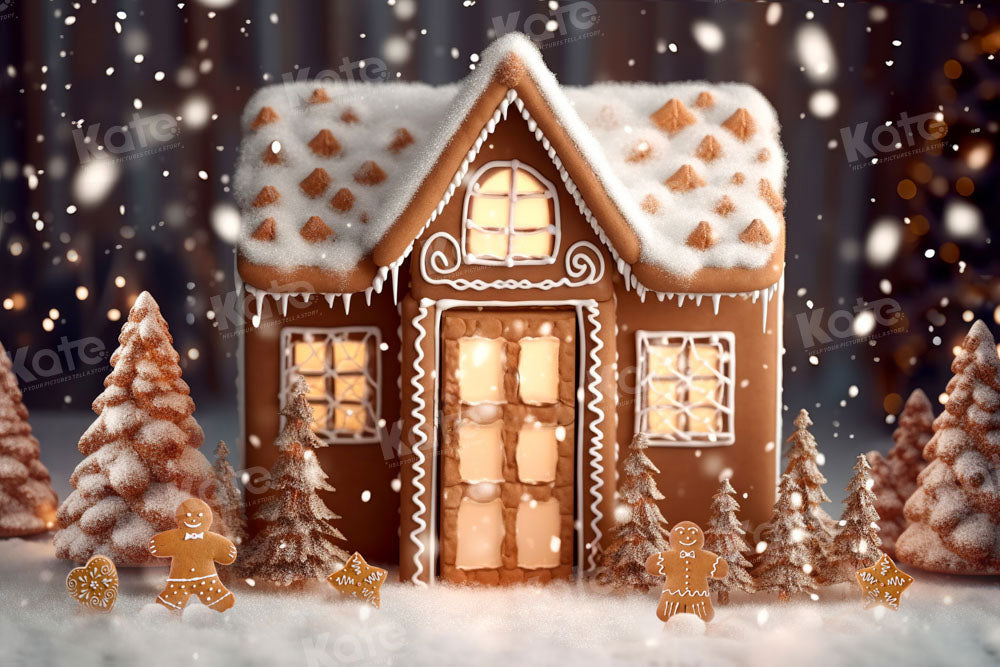 Kate Winter Christmas Backdrop Gingerbread House Designed by Chain Photography