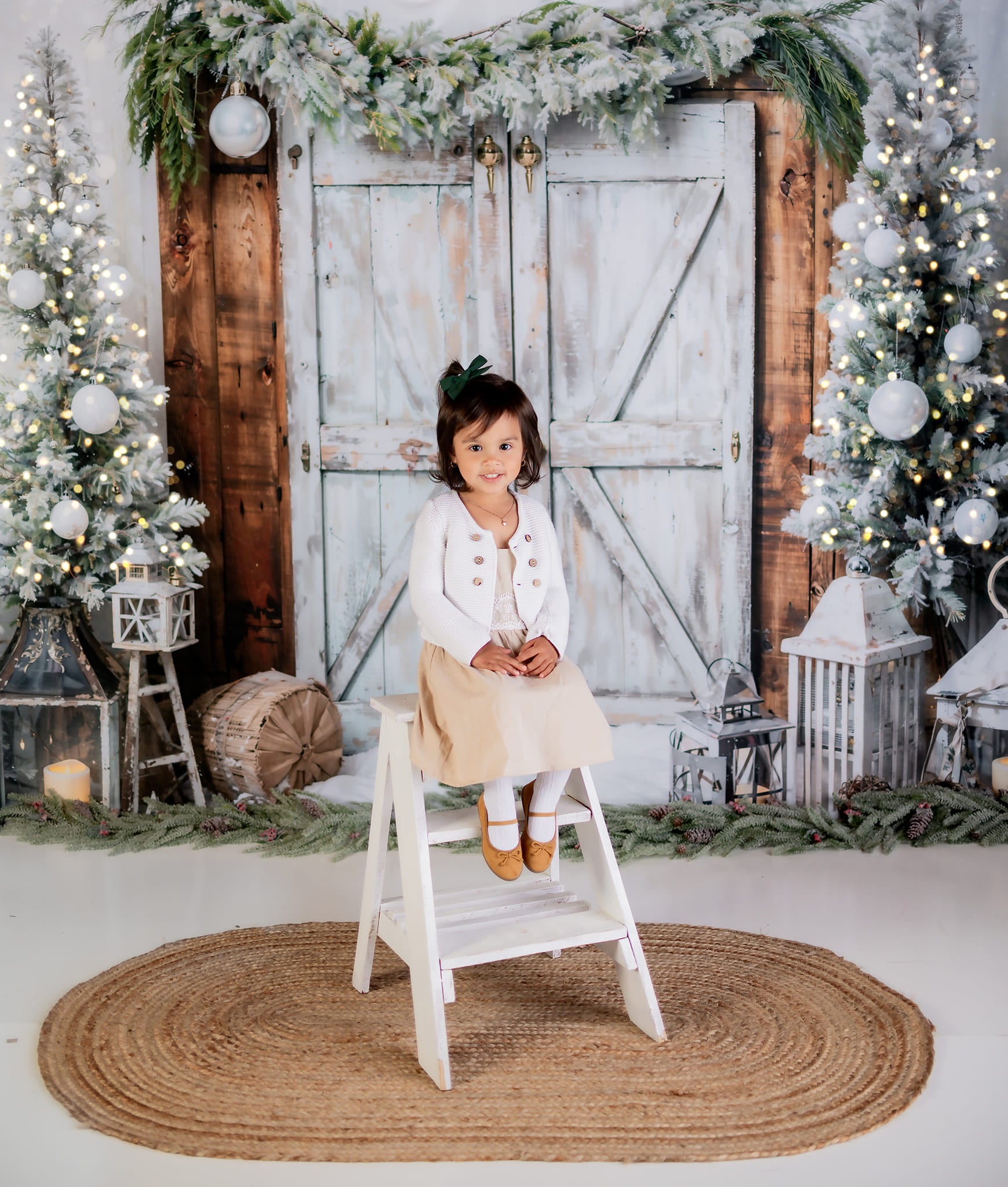 Kate Winter Christmas Snow Barn Door Backdrop Designed by Emetselch