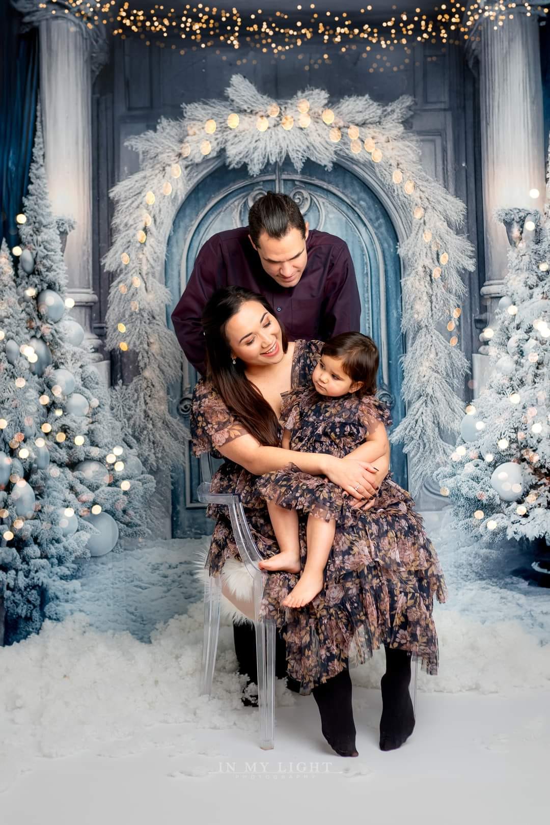 Kate Christmas Winter Backdrop Frosted World Tree Blue Door for Photography - Kate Backdrop AU
