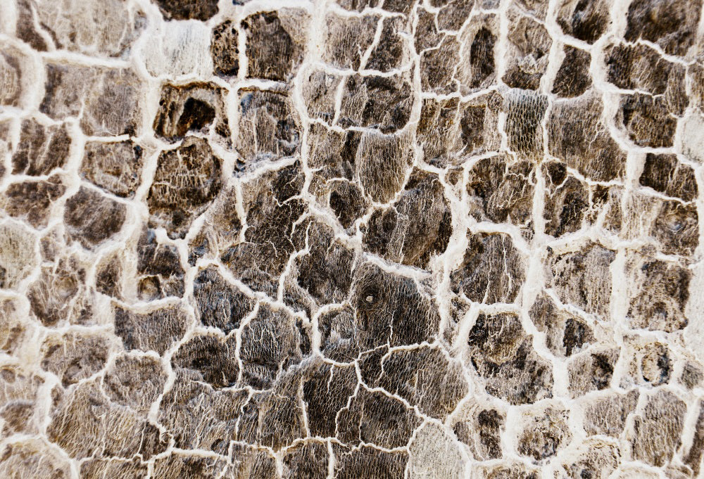 Kate Abstract Stone Texture Backdrop for Photography