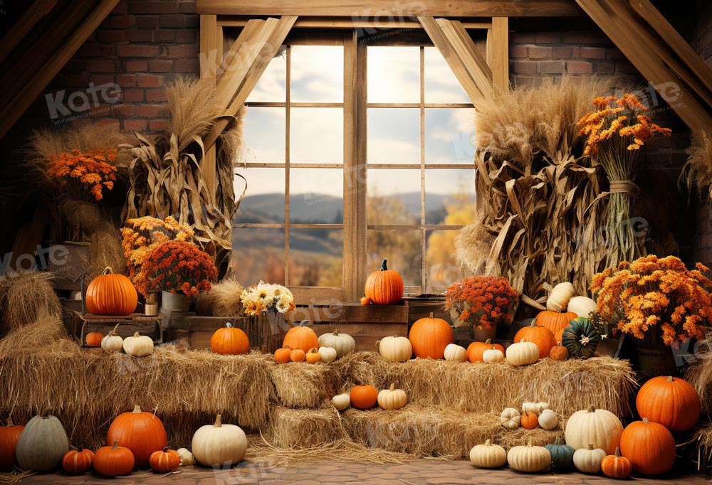 Kate Autumn Pumpkin Barn Backdrop Designed by Emetselch - Kate Backdrop AU