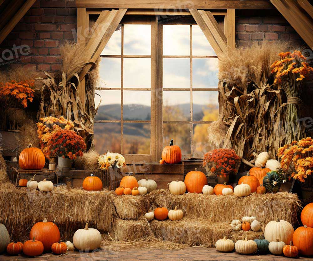 Kate Autumn Pumpkin Barn Backdrop Designed by Emetselch - Kate Backdrop AU