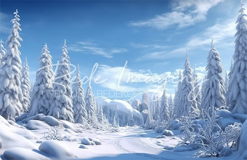 Kate Frost Wonderland Backdrop Designed by Lidia Redekopp