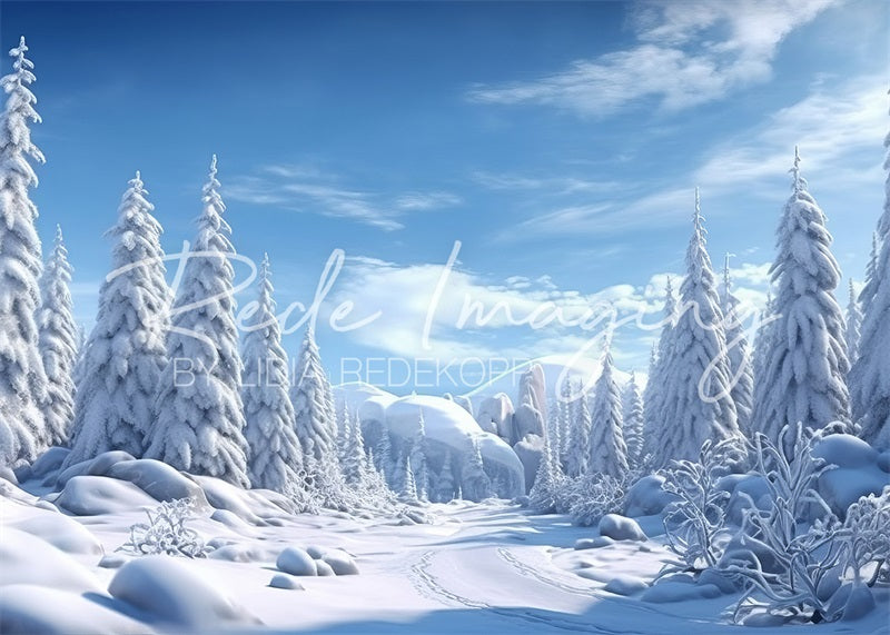 Kate Frost Wonderland Backdrop Designed by Lidia Redekopp