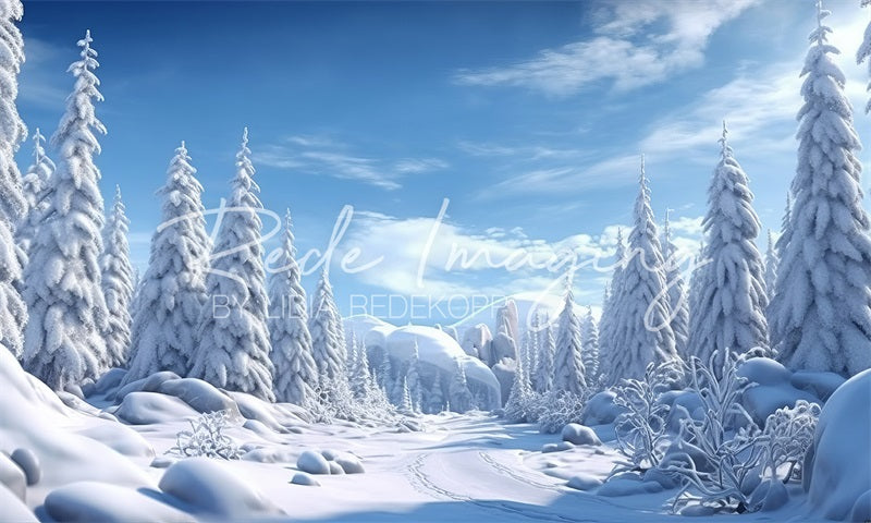 Kate Frost Wonderland Backdrop Designed by Lidia Redekopp