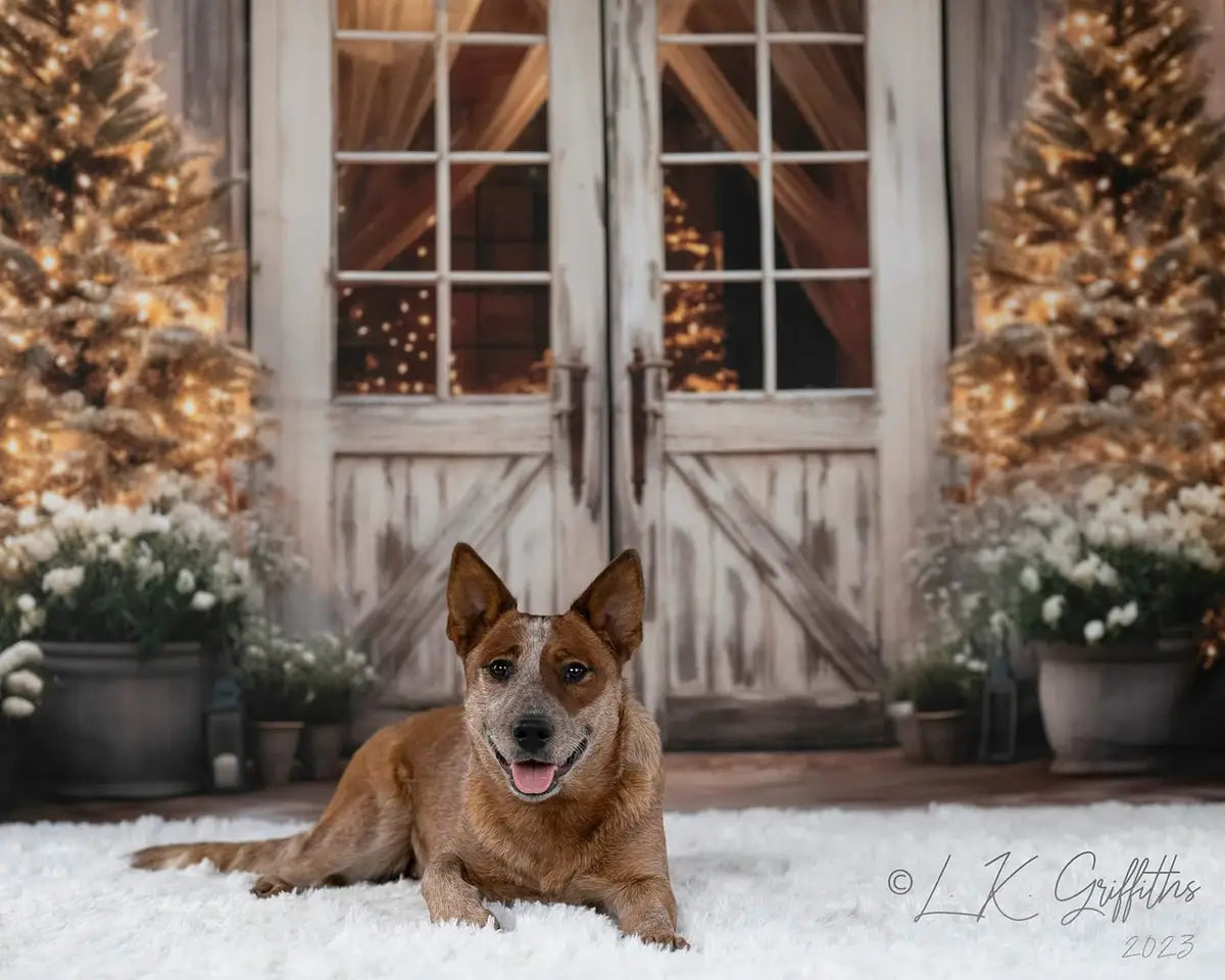 Kate Christmas Barn with Lights and Christmas Tree Fleece Backdrop Designed by Emetselch